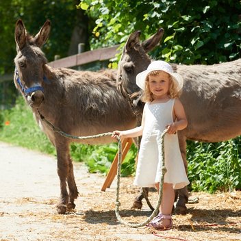 Ferienhof Hardthöhe, Urlaub auf dem Bauernhof, Emma mit Esel